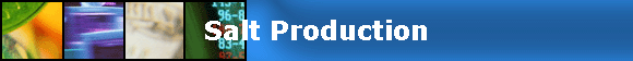 Salt Production